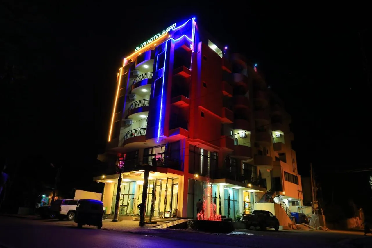 Olive Hotel & Spa Bahir Dar